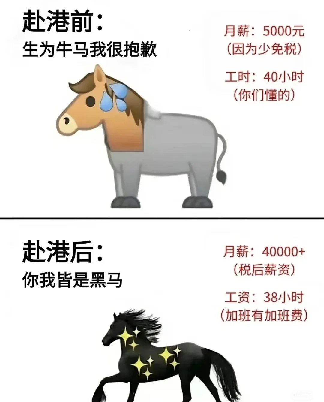 香港工作招人