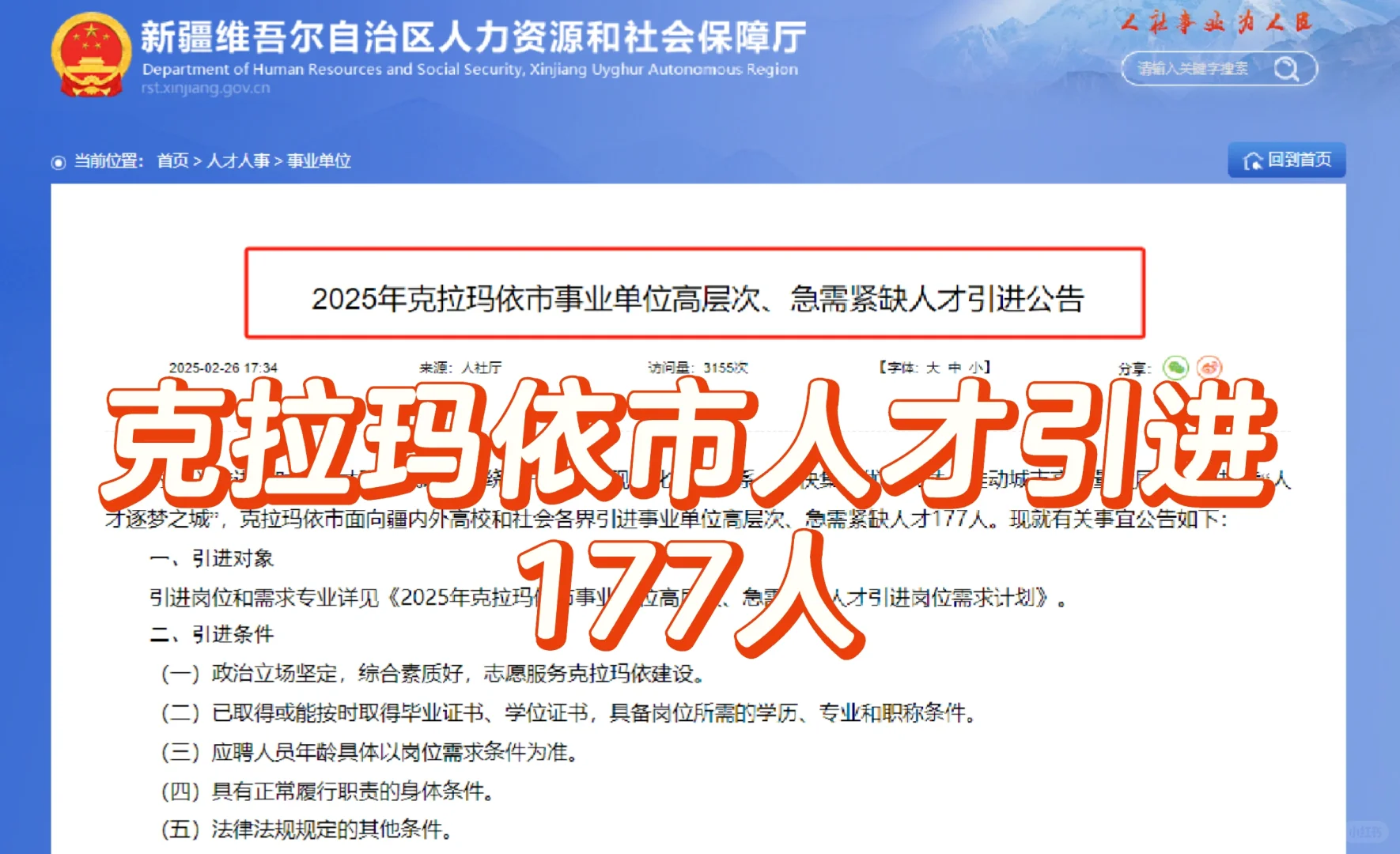 免笔试！专业不限！克拉玛依人才引进177人