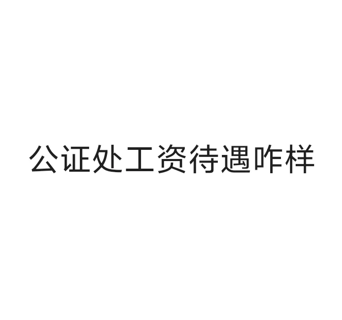 家人们县城公证处工资待遇咋样啊