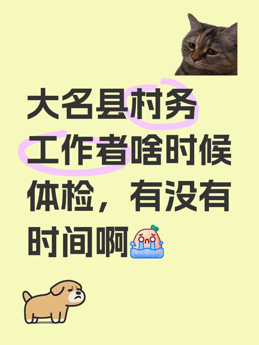大名村务