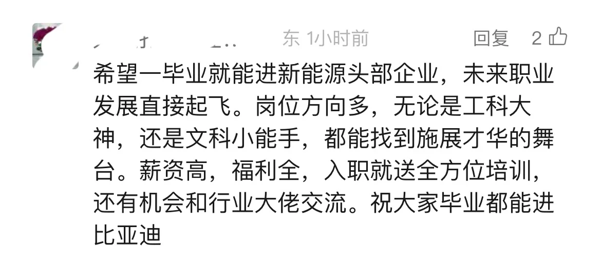 热乎的比亚迪