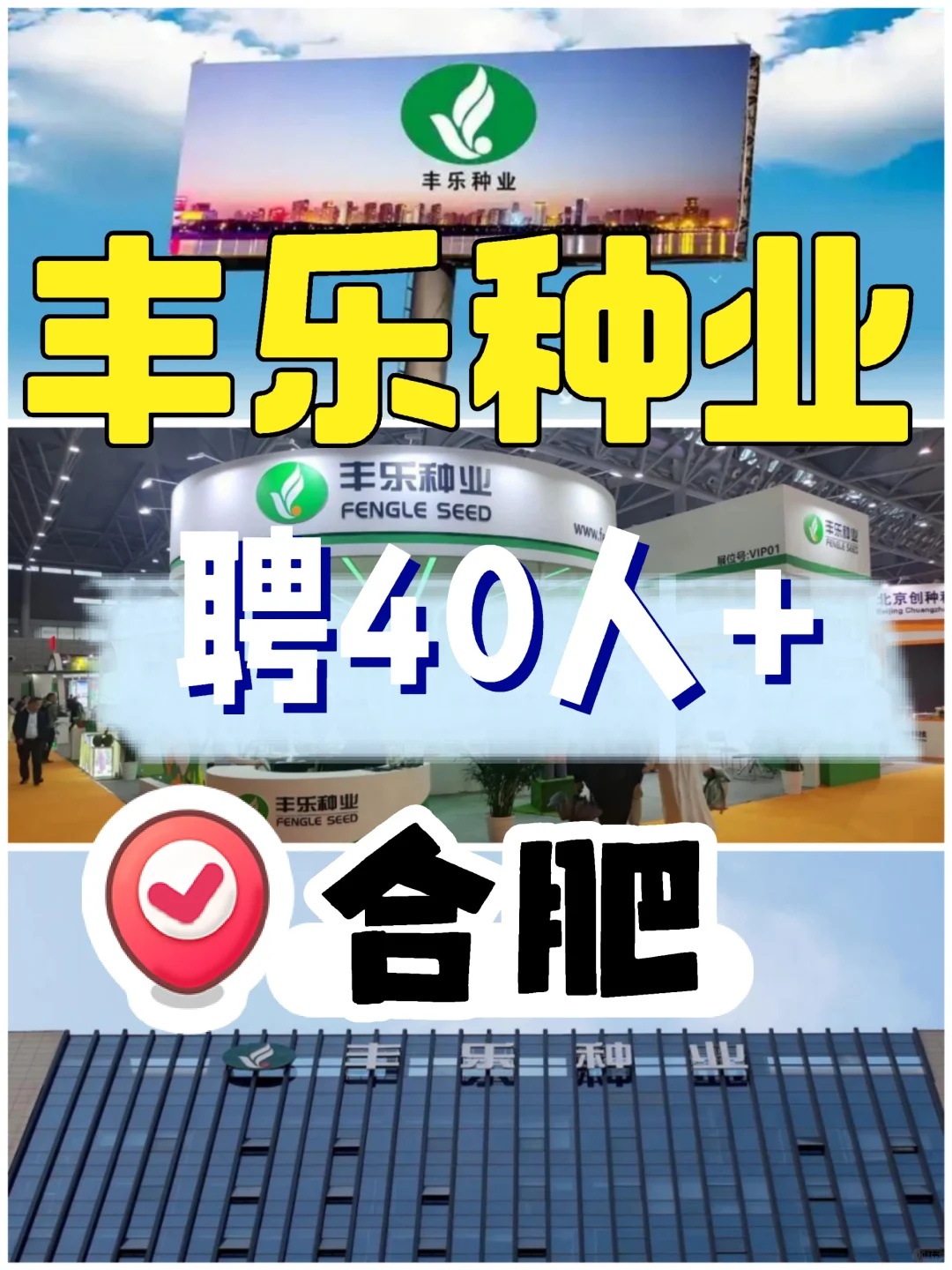 种业巨头✅合肥丰乐种业?聘40人+