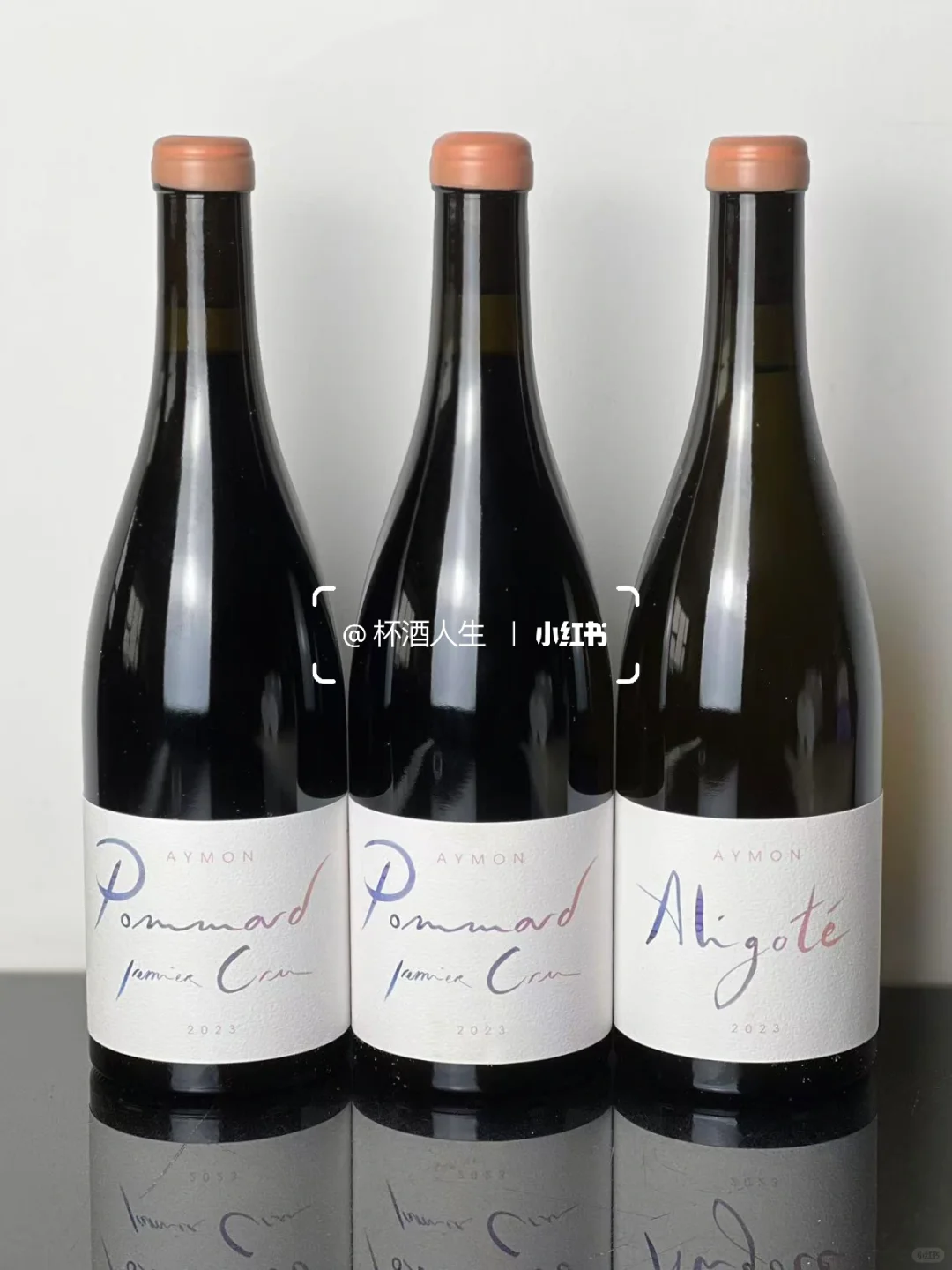 Maison Aymon 酒商新星?热爱的力量
