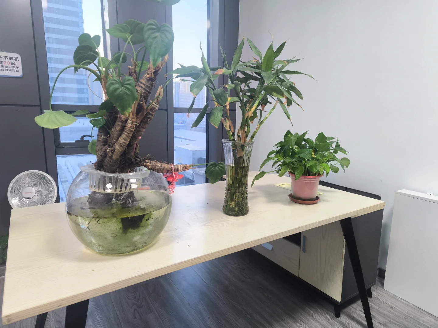 某机关档案录入员
