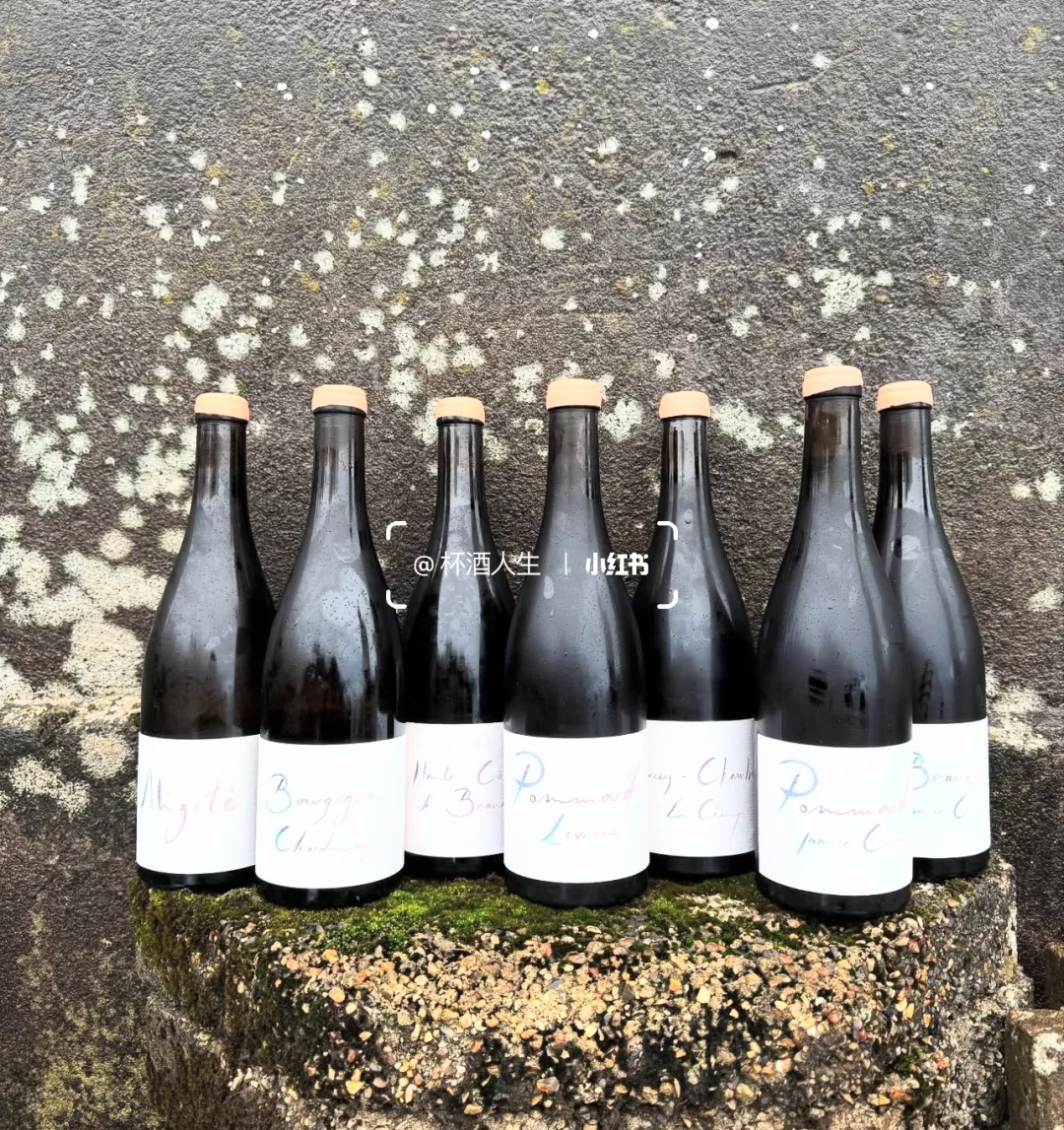 Maison Aymon 酒商新星?热爱的力量