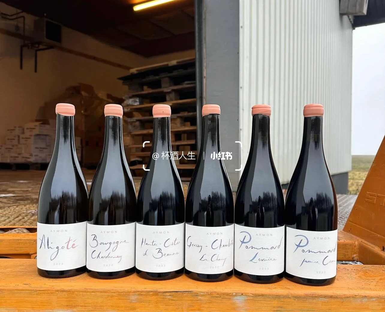 Maison Aymon 酒商新星?热爱的力量