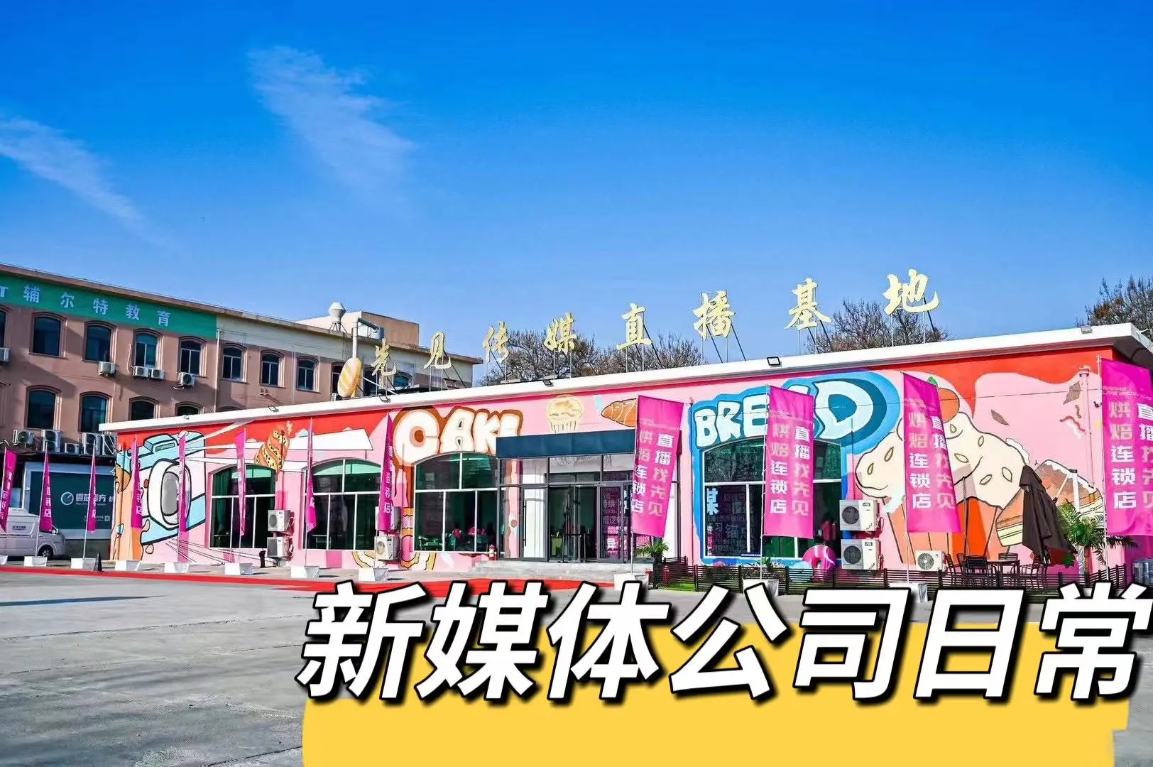 公司招聘啦 欢迎各位小伙伴加入～