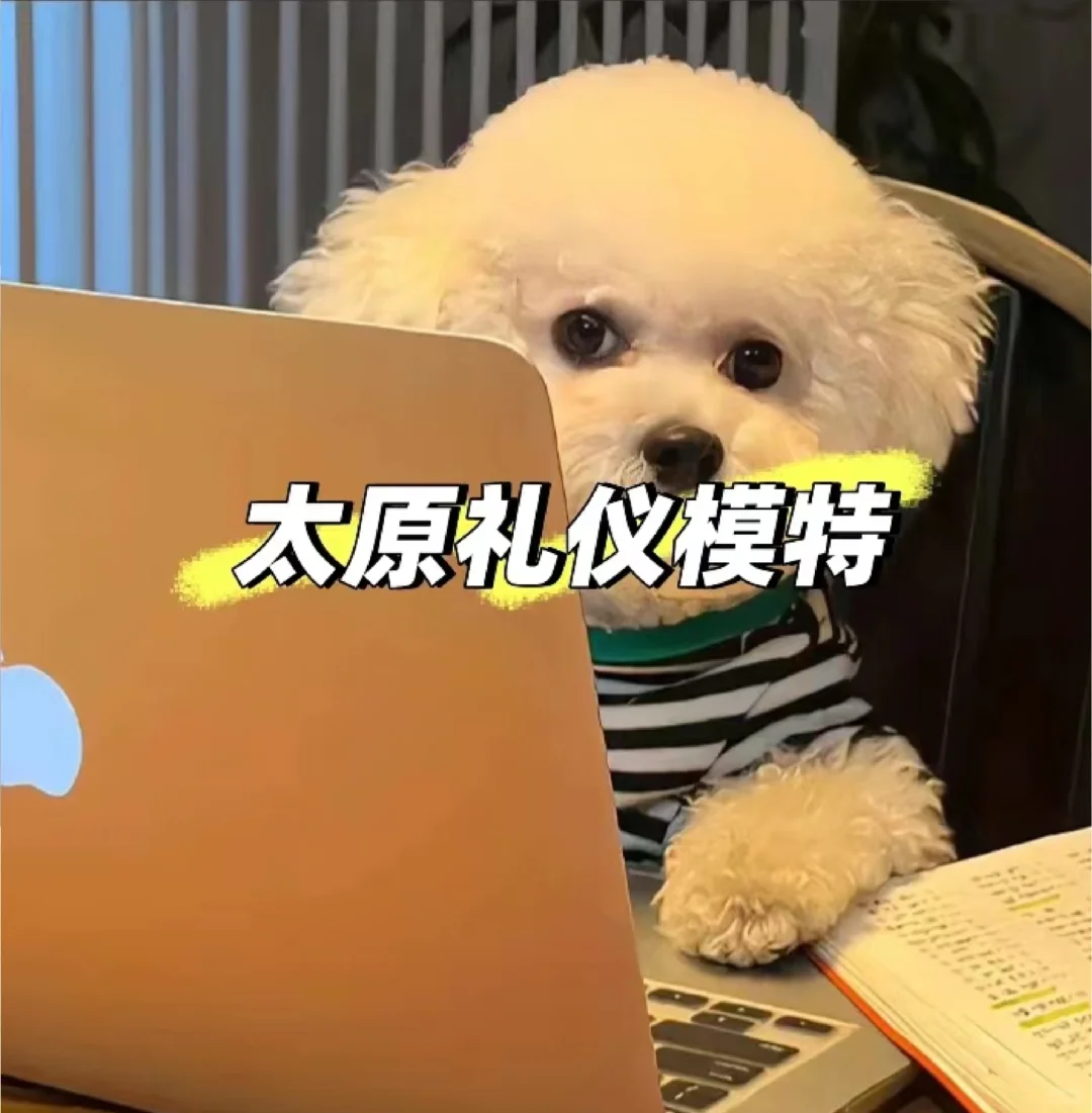 太原！急！聘！礼！仪！
