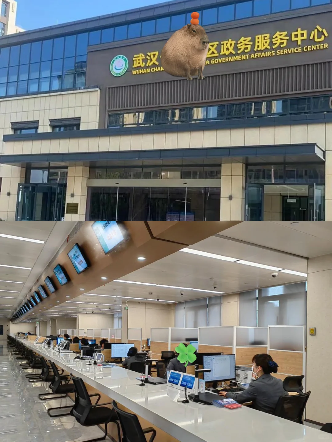 政务中心招窗口文职岗，双休五险一金，谁来