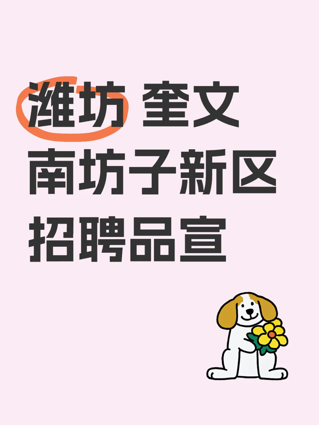 潍坊 奎文南坊子新区招聘品宣