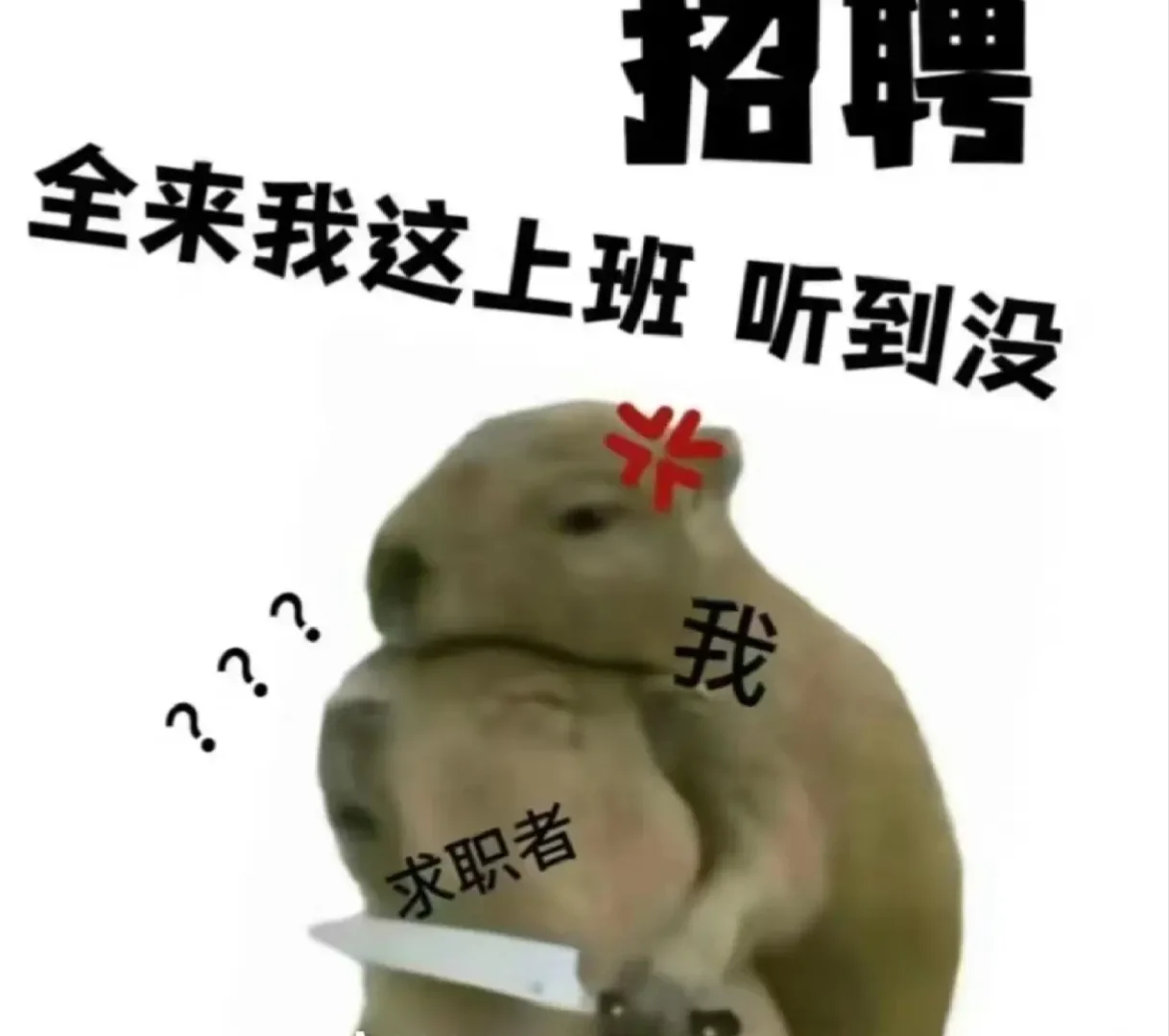 招聘❗❗❗❗速来速来❗❗❗❗❗