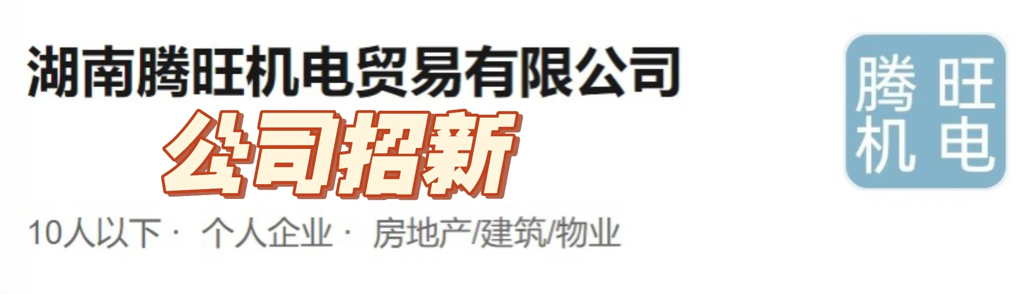 公司招新