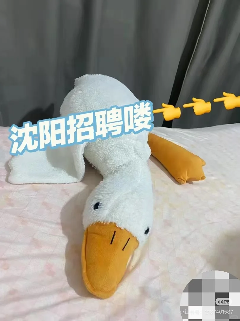 沈阳找工作啦