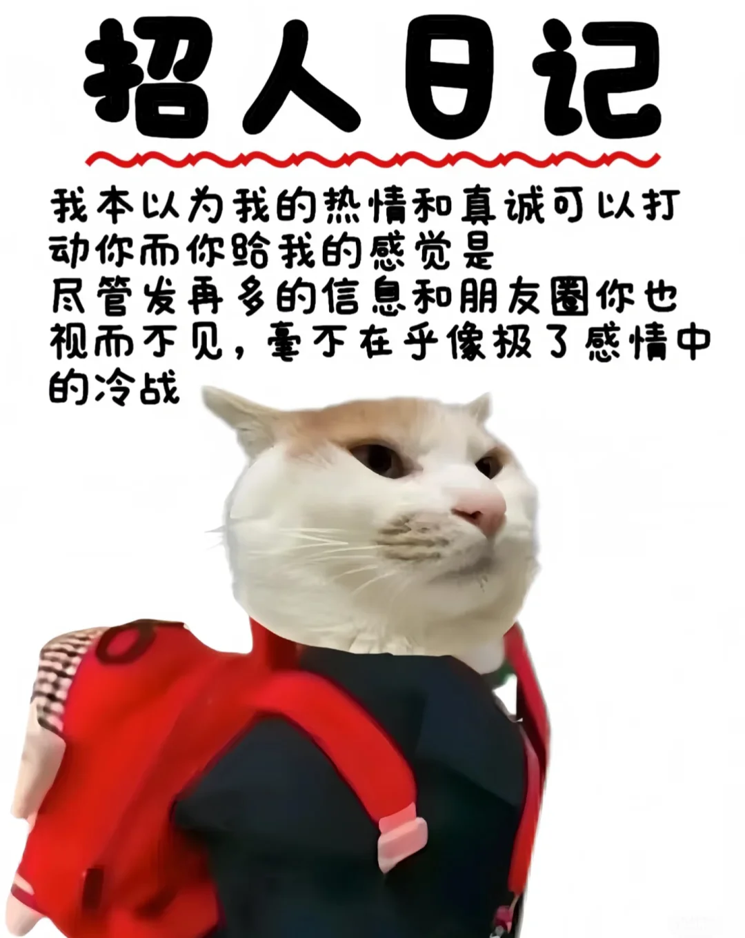 看这篇！找工作?