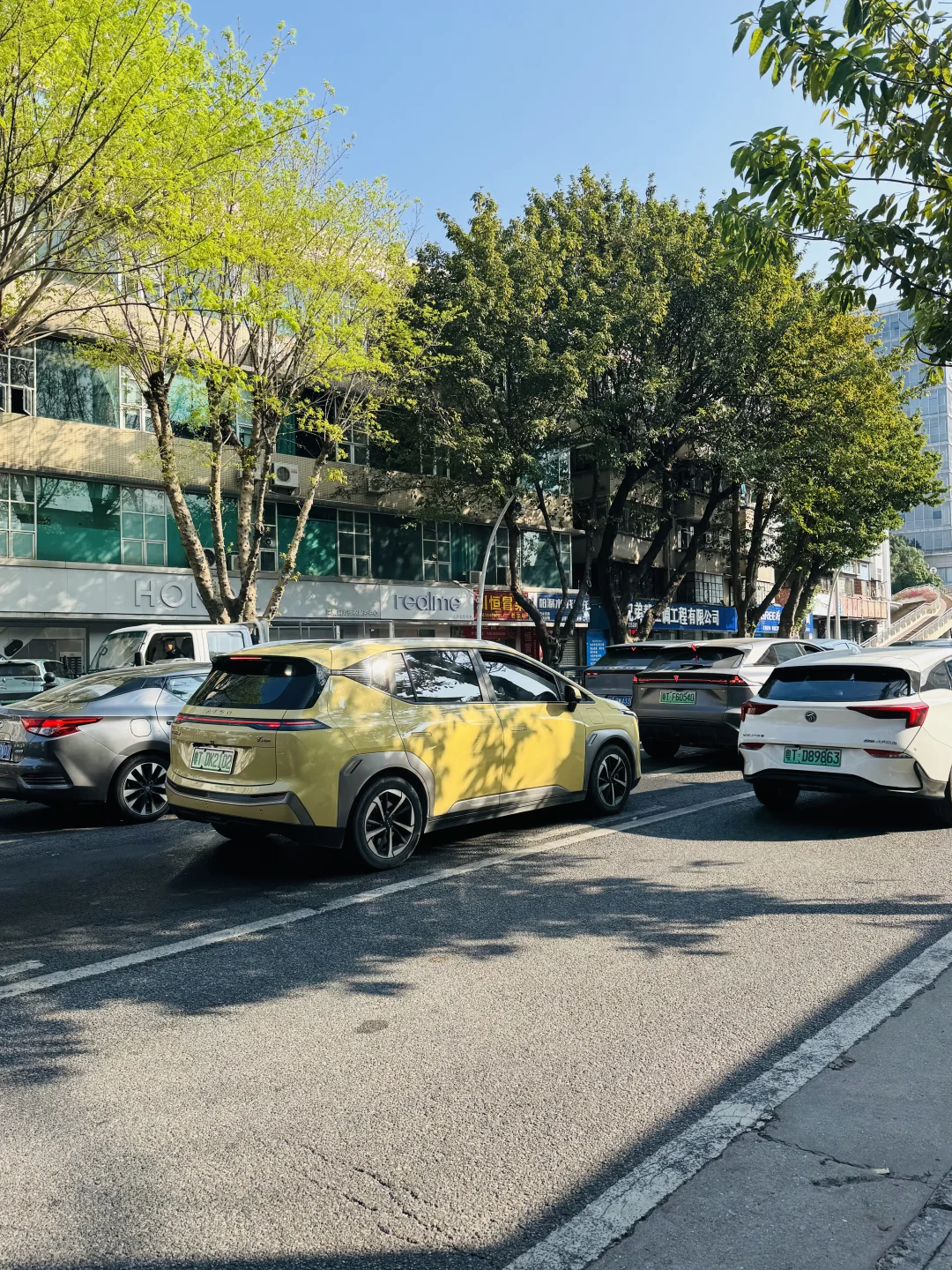 中山市直招聘
