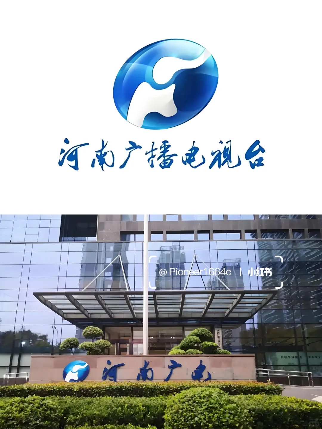 郑州电视台?招行政文员