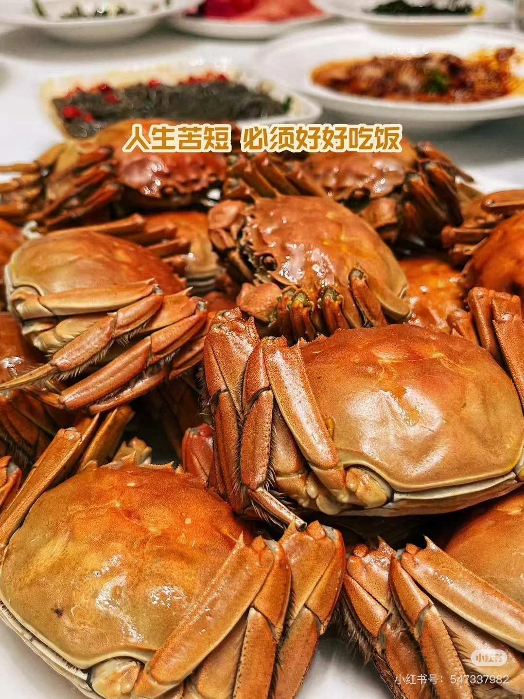 童程童美员工来!年前面试!年后入职!