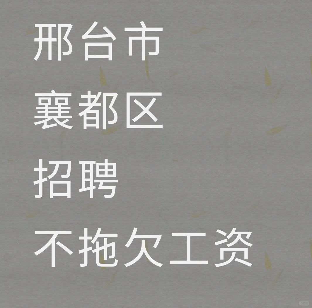 邢台市襄都区招聘