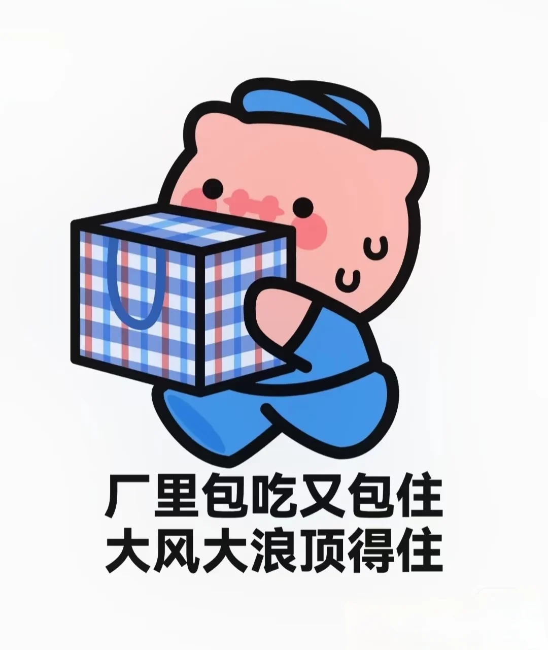 新站区厂区直招正式工