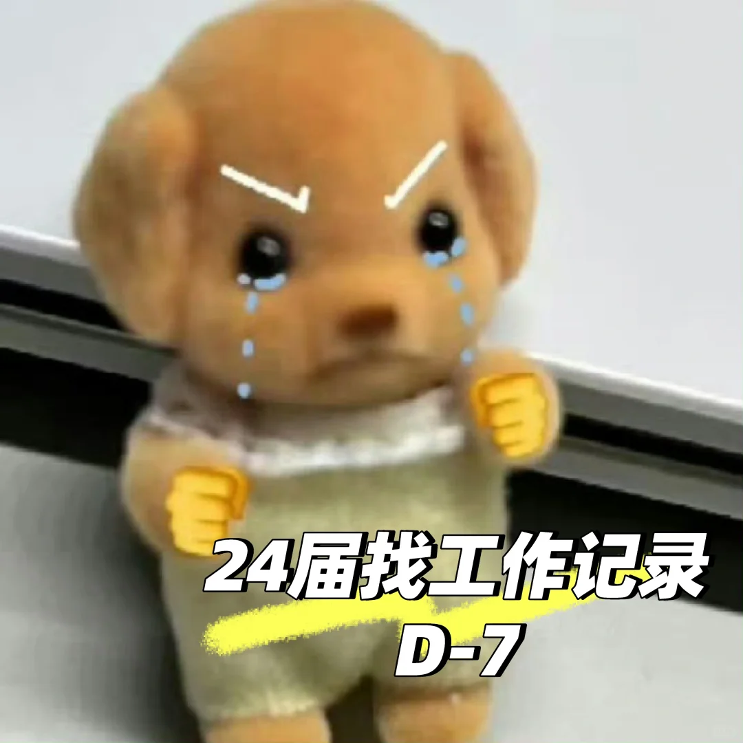 24届无业游民找工作记录 ⭐️D-7