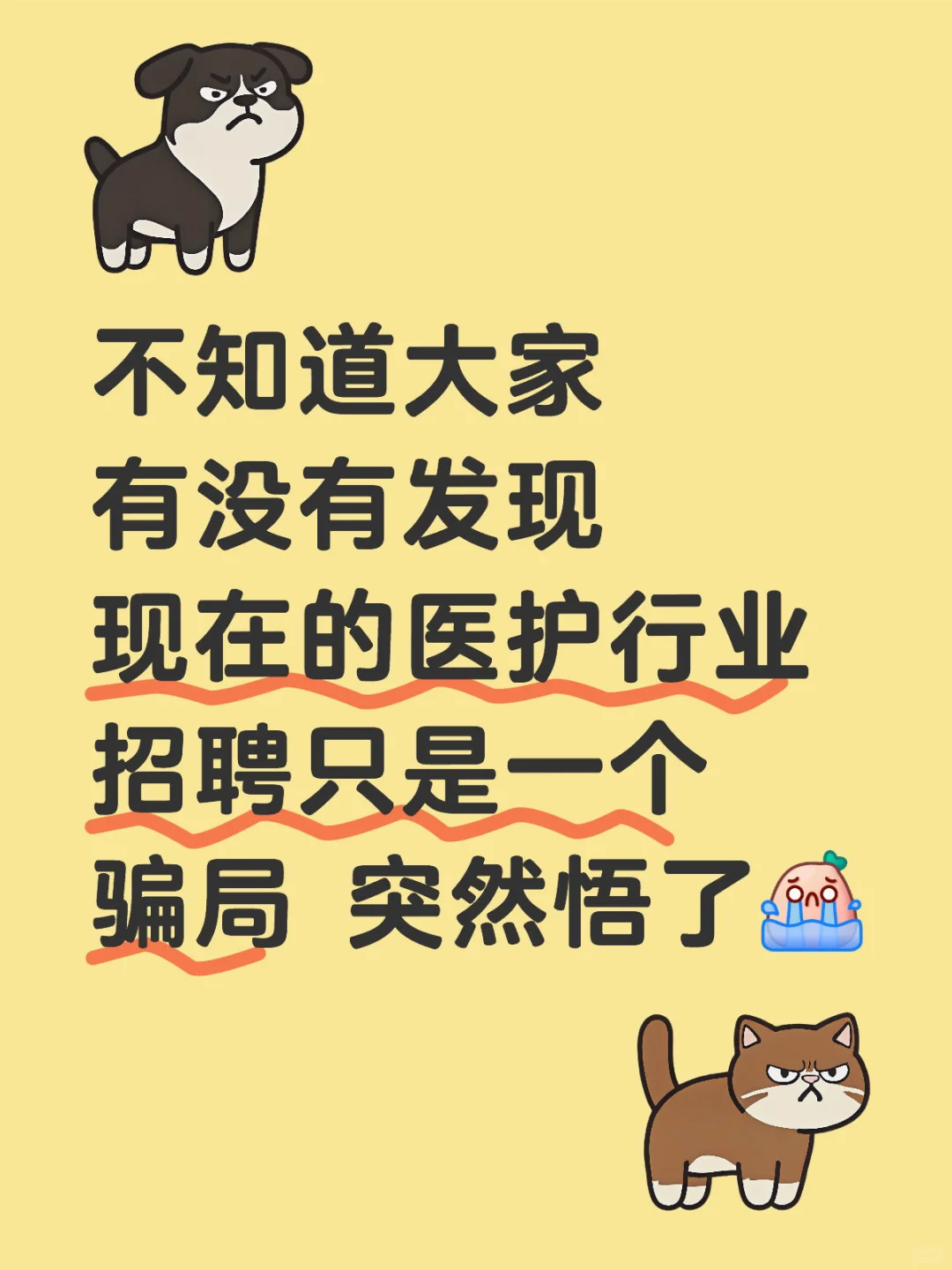 半夜翻丁香人才 突然悟了这个招聘骗局