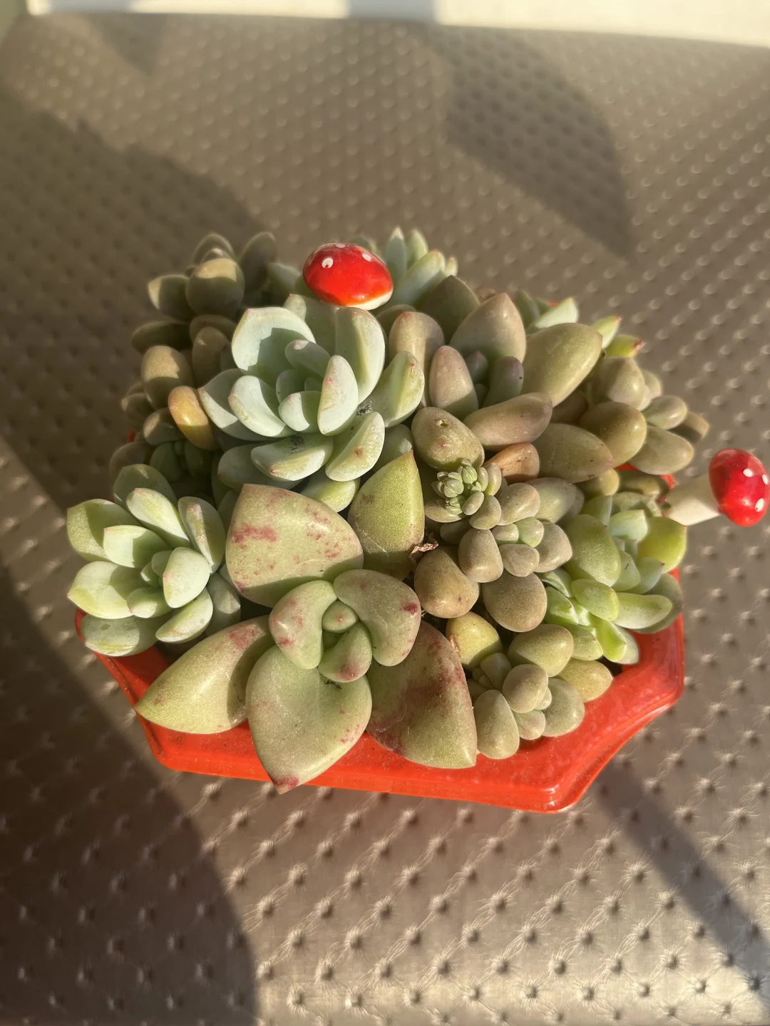 找工作的一天！秒聘上秒结束！
