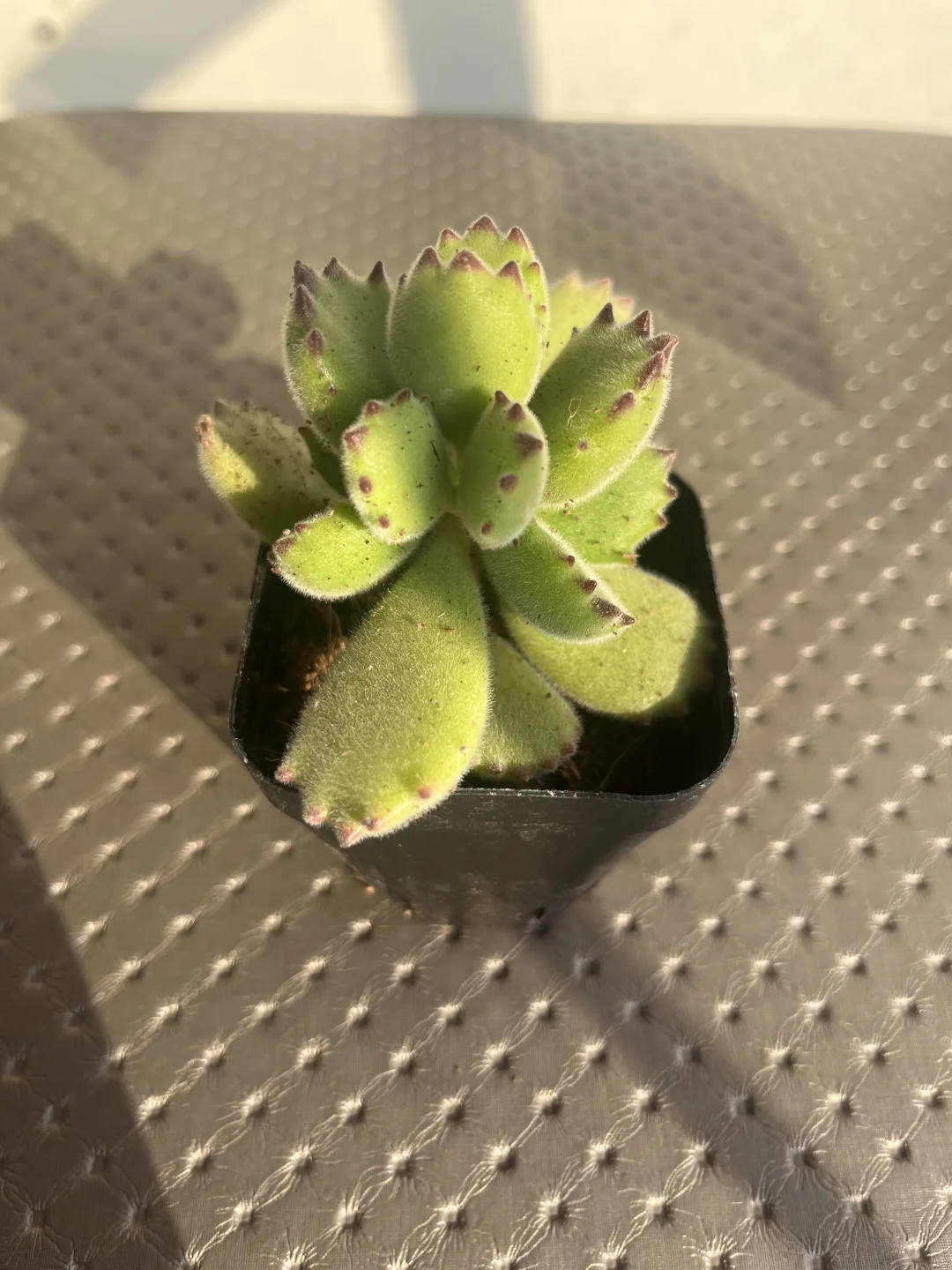 找工作的一天！秒聘上秒结束！