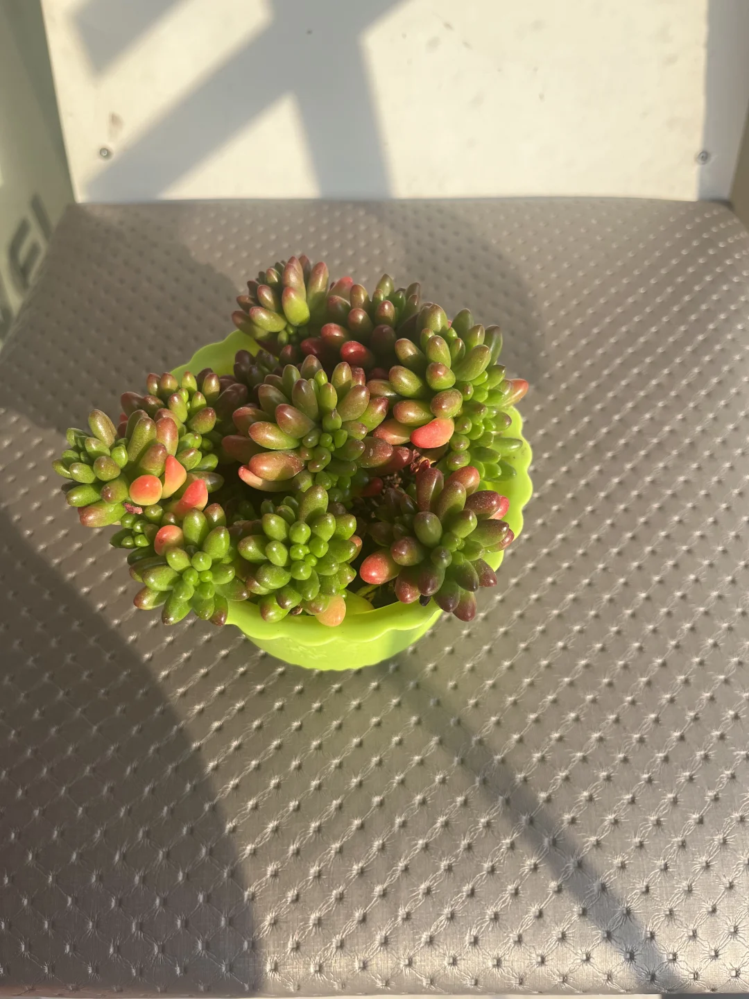 找工作的一天！秒聘上秒结束！