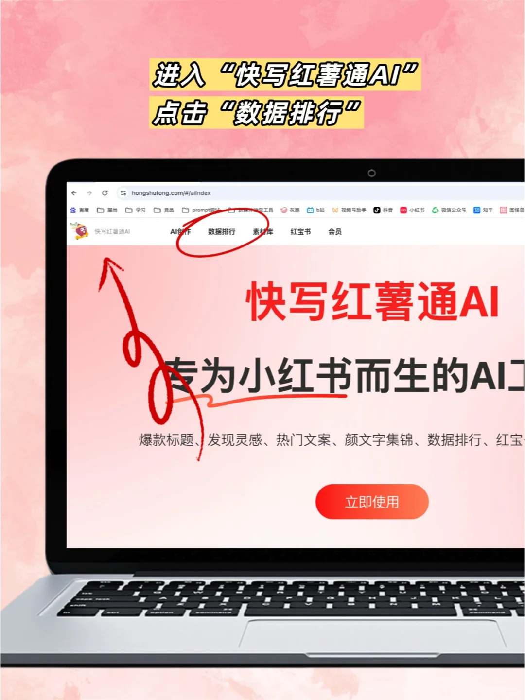 小红书对标账号网页版查询入口?