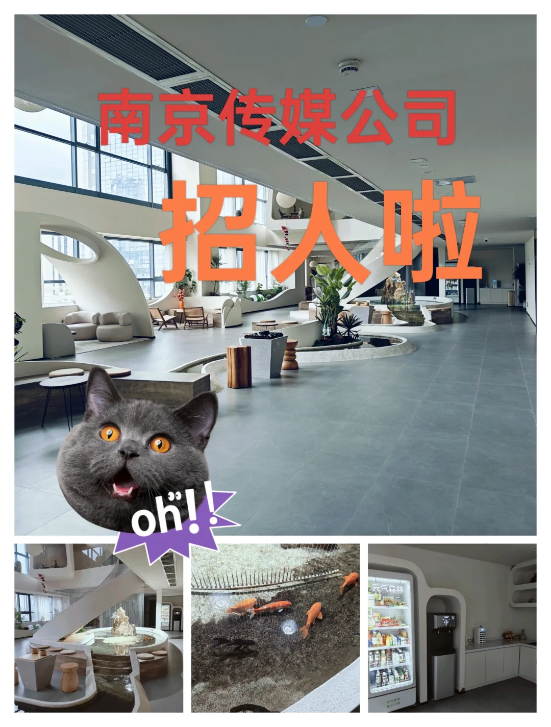 南京新传媒公司招聘啦