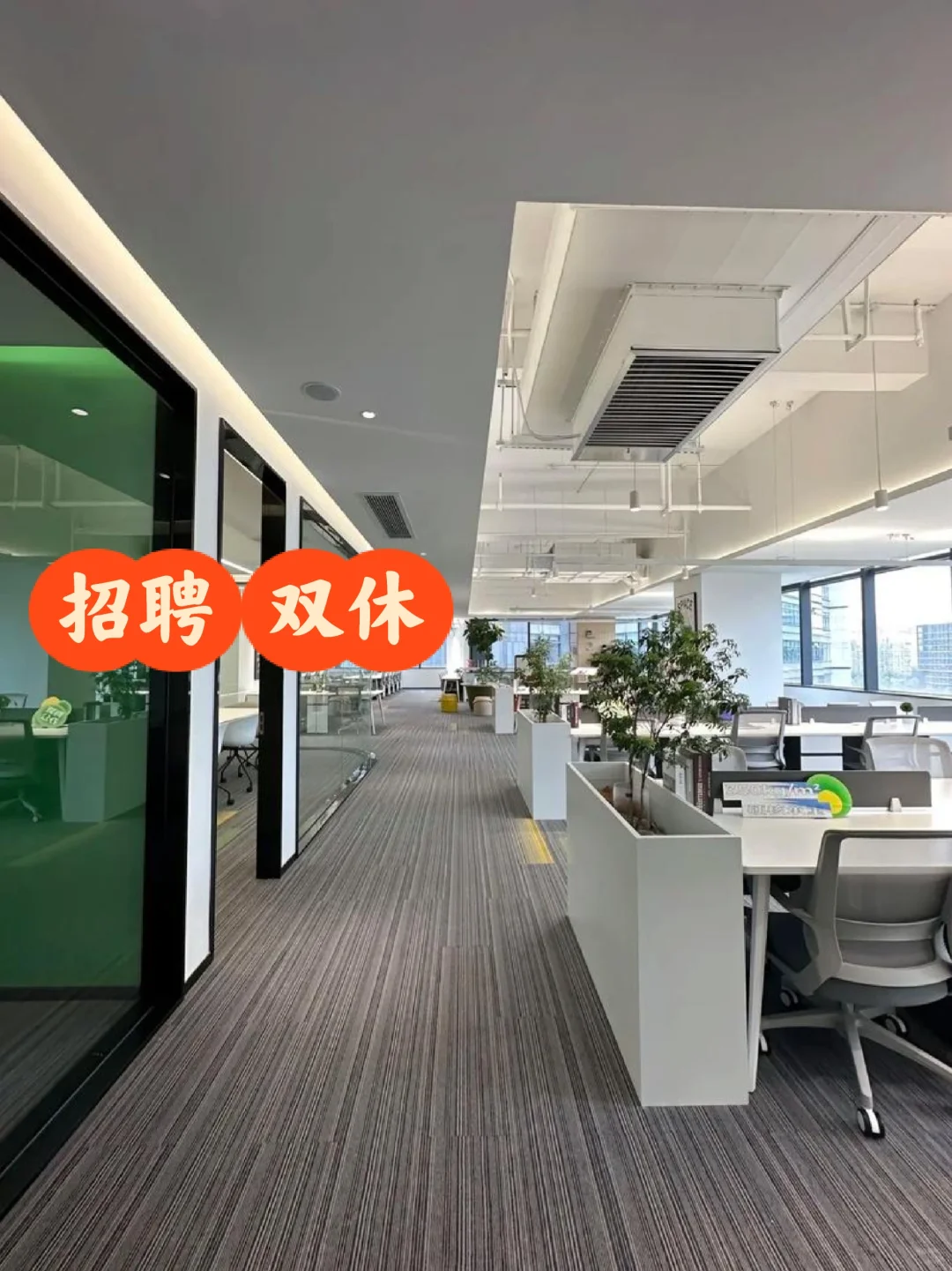 招聘 双休