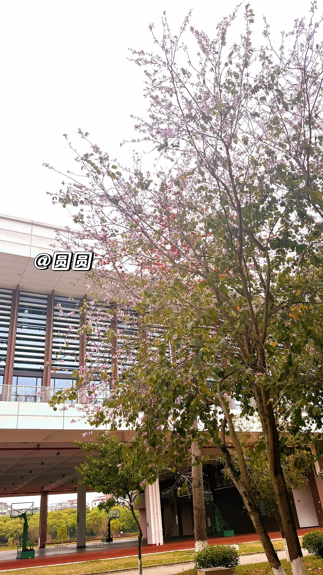 ?水利学院全方面校园介绍?开学快人一步！