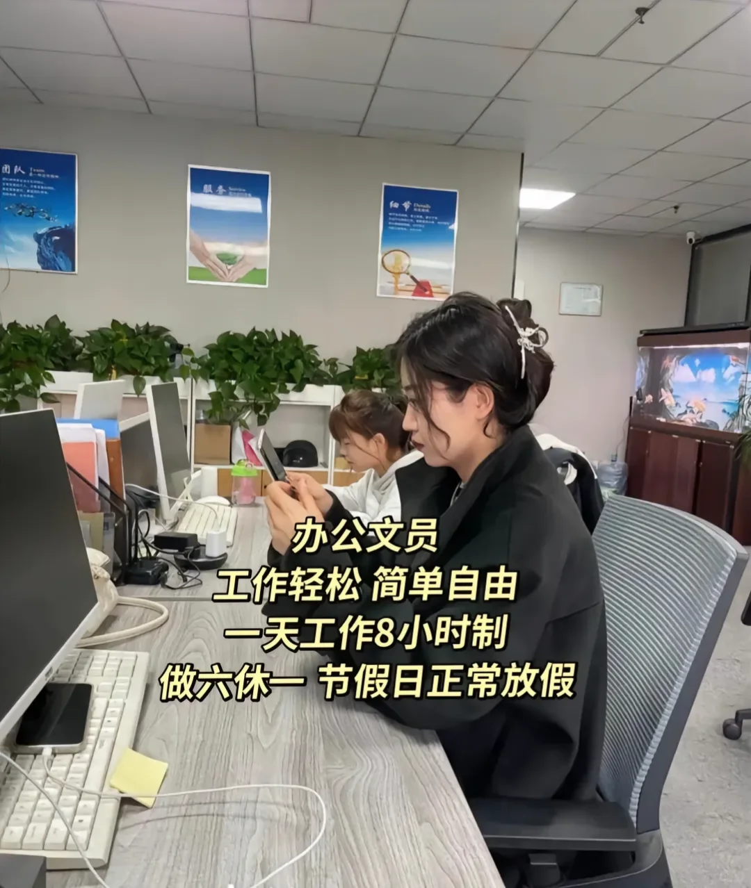 文员招聘（鸽子?️勿扰）