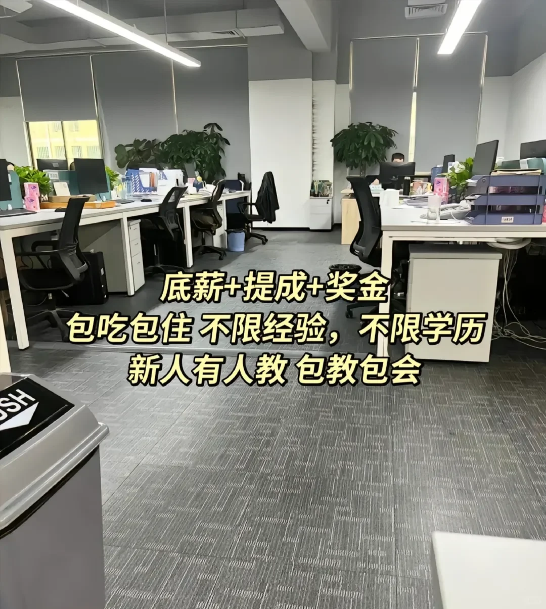 文员招聘（鸽子?️勿扰）