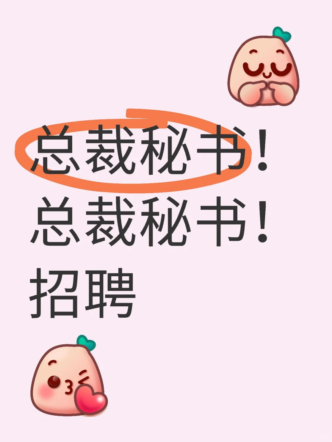 总裁秘书招聘