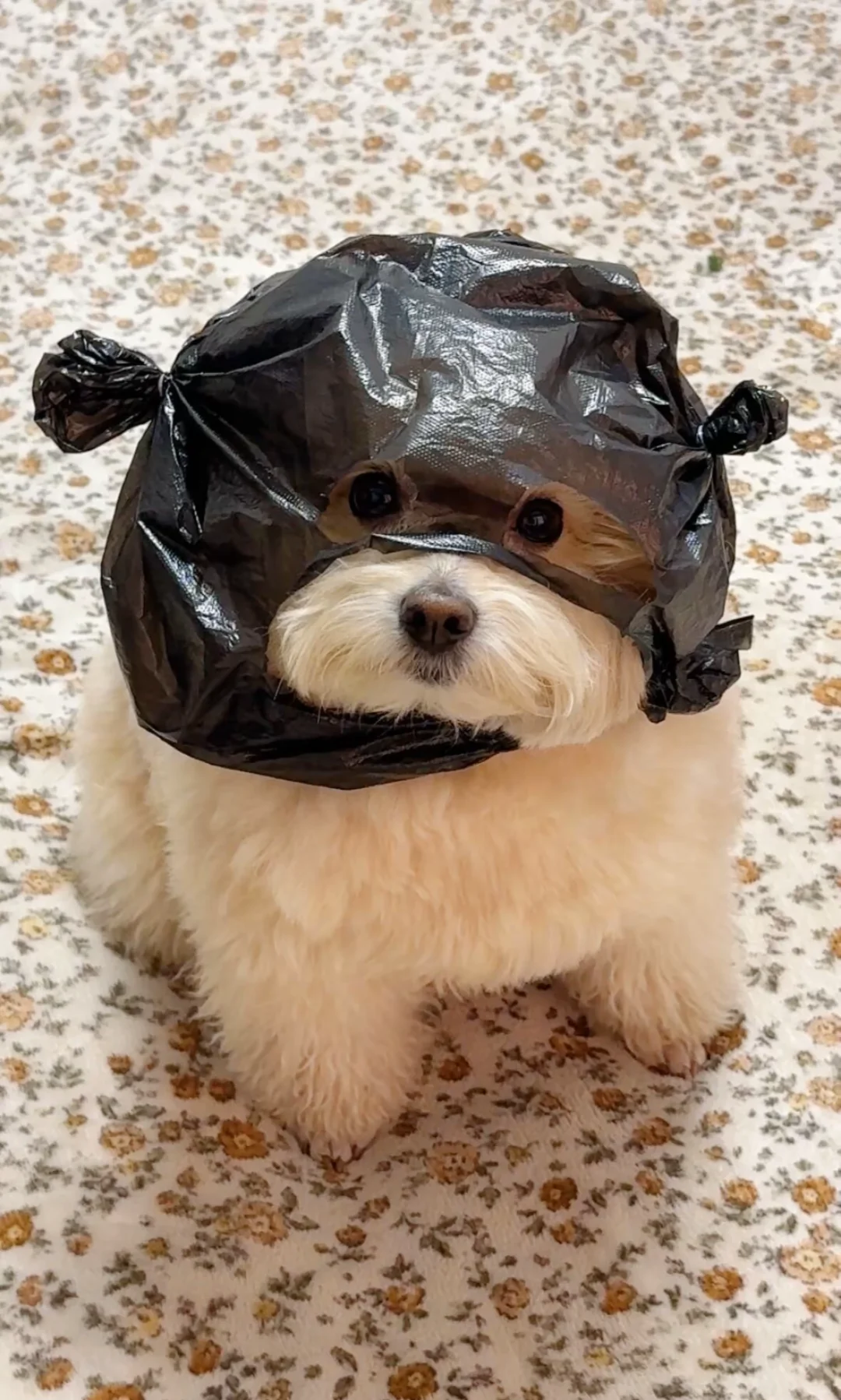 传媒公司招人