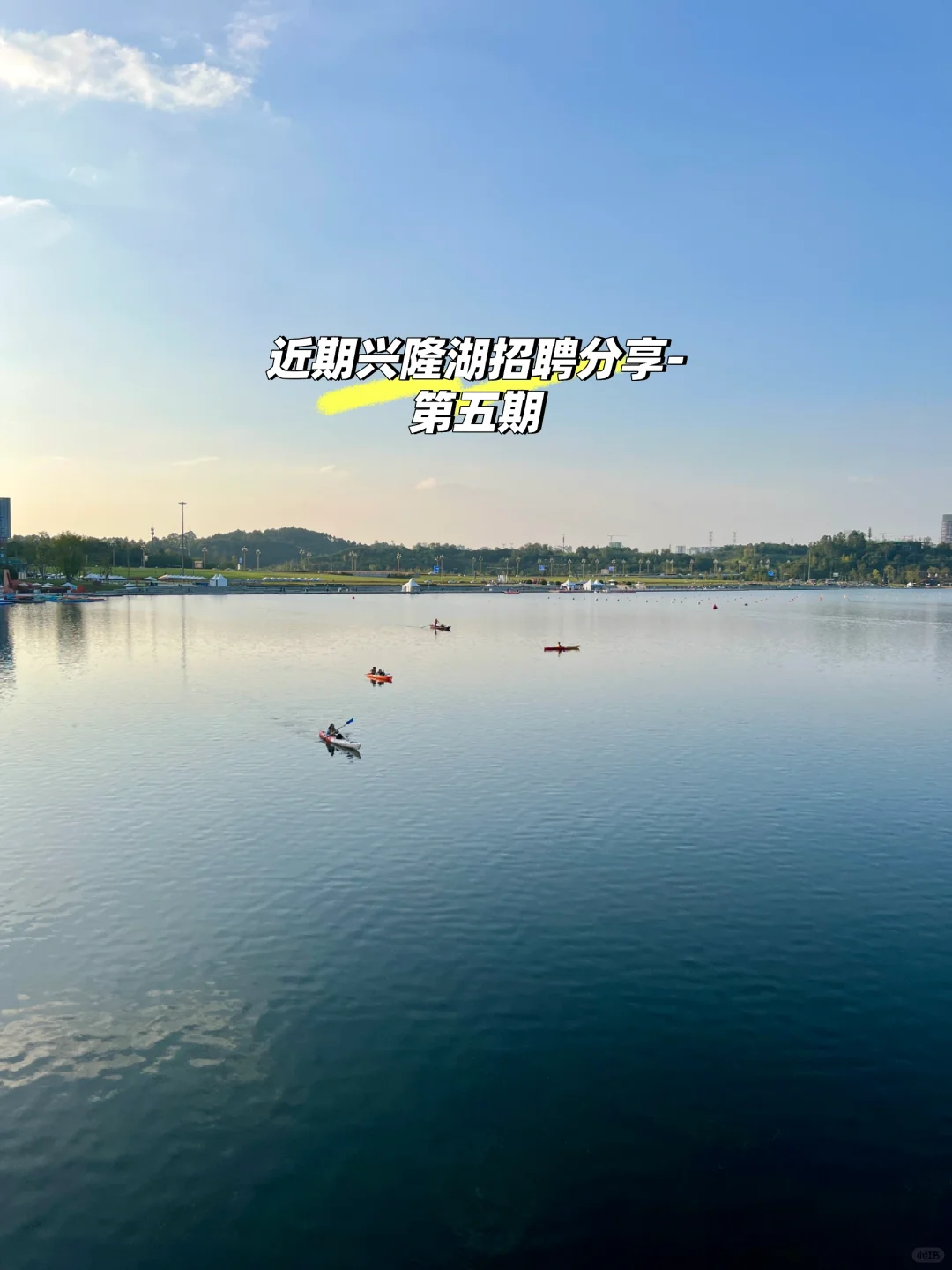 近期兴隆湖招聘分享-第五期