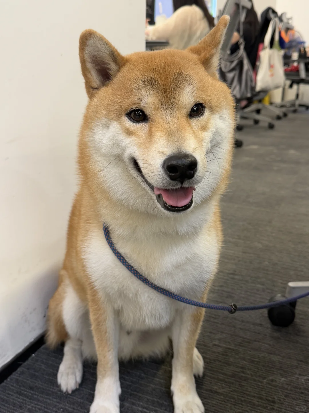 Klook客路｜?神仙公司等你来