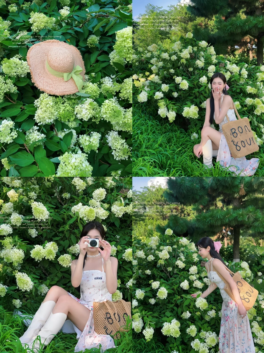接下来的沈阳将会是这样！?（附花期&地址）