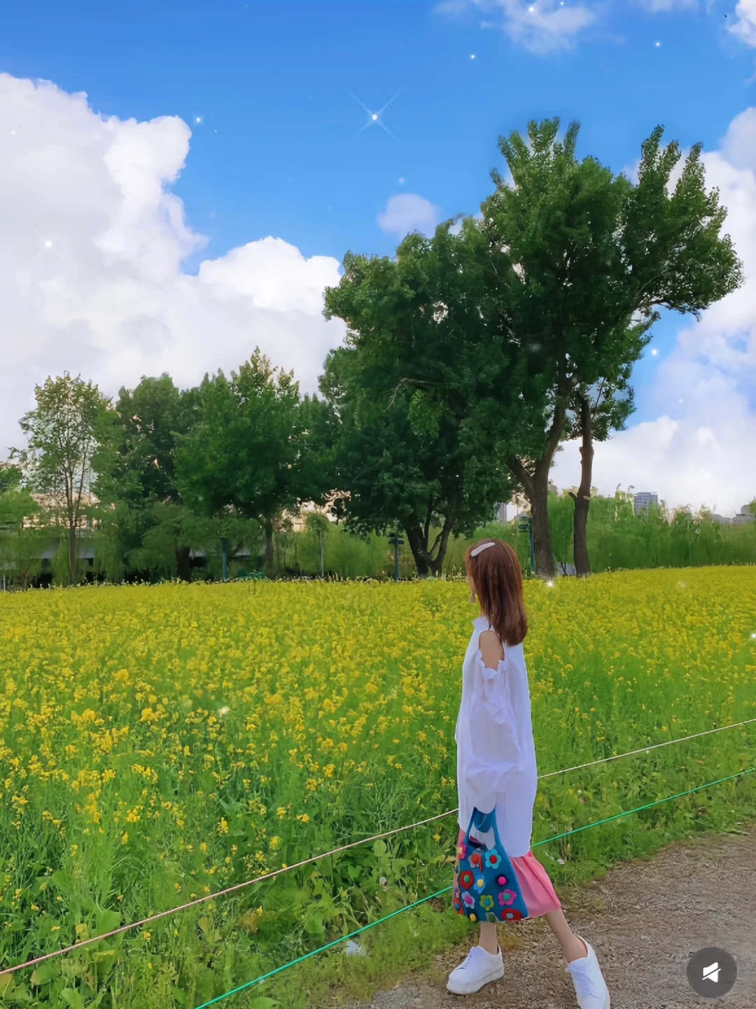 接下来的沈阳将会是这样！?（附花期&地址）
