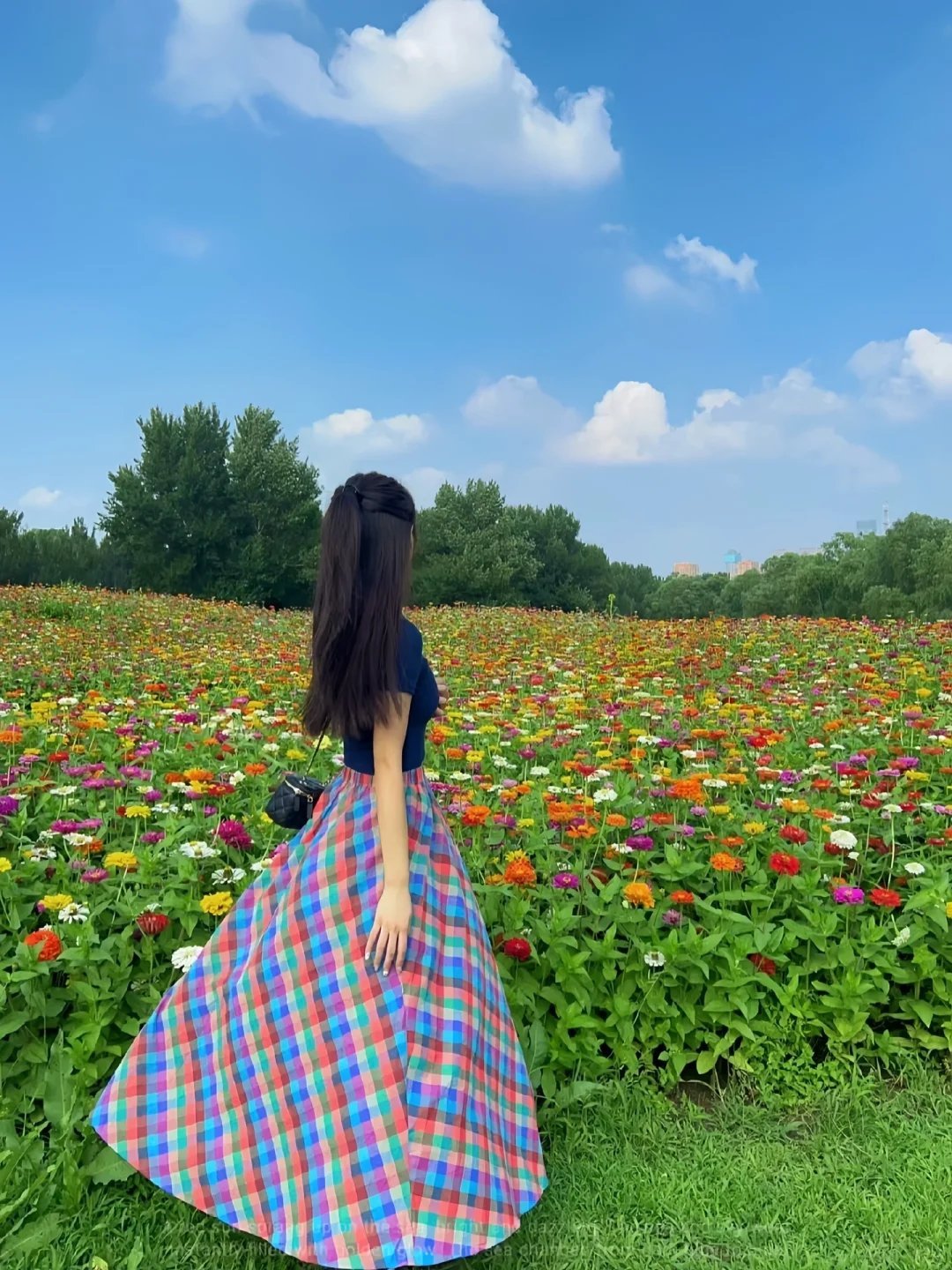 接下来的沈阳将会是这样！?（附花期&地址）