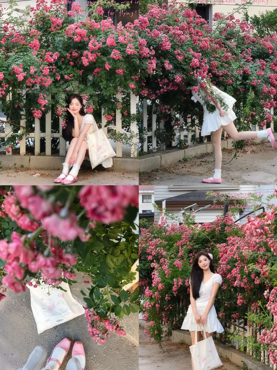 接下来的沈阳将会是这样！?（附花期&地址）
