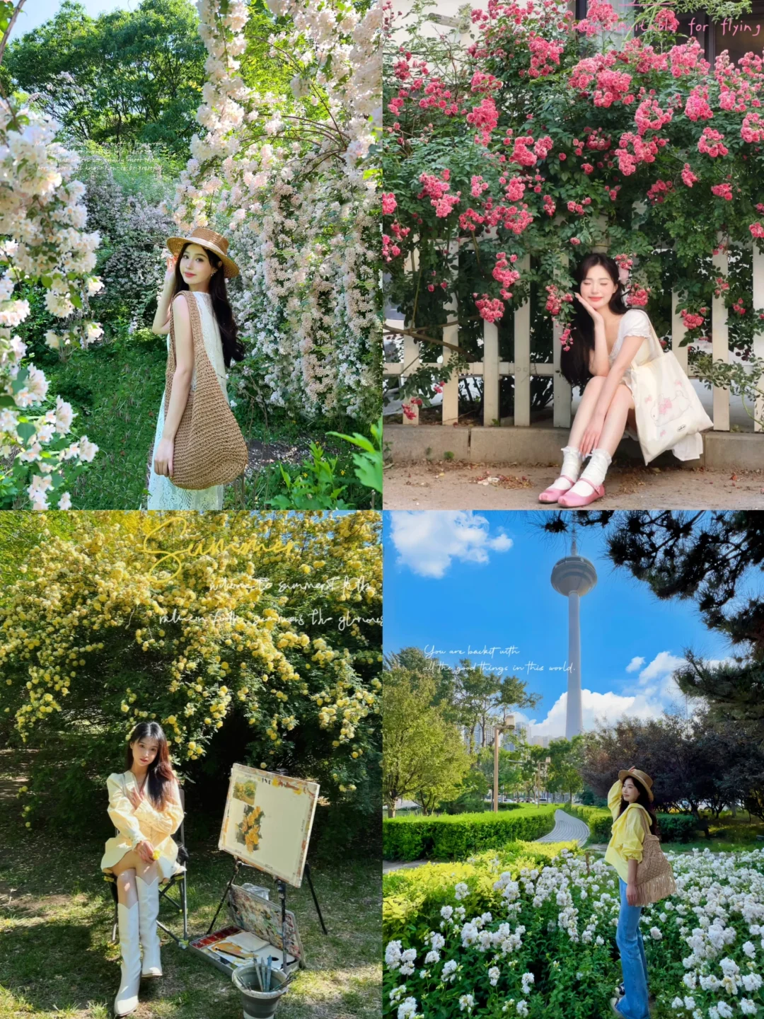 接下来的沈阳将会是这样！?（附花期&地址）