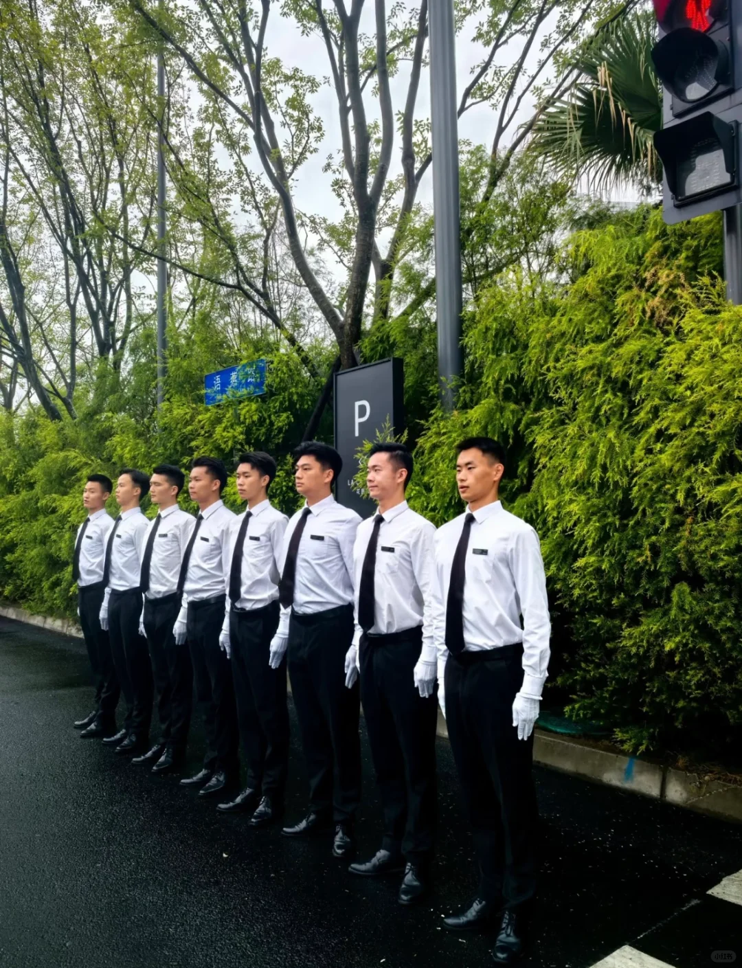 礼宾召聘啦～