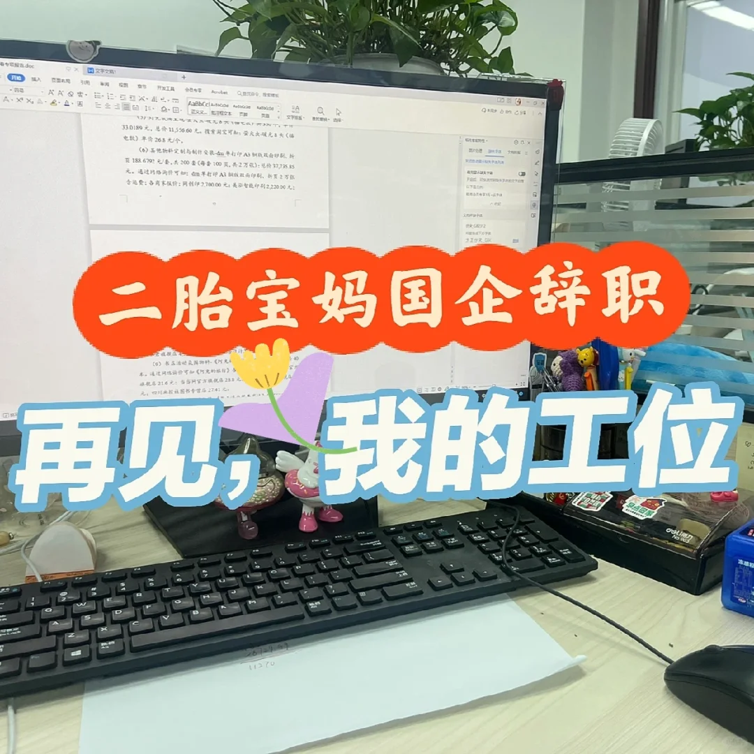 从某国资委国企平台公司辞职后感悟