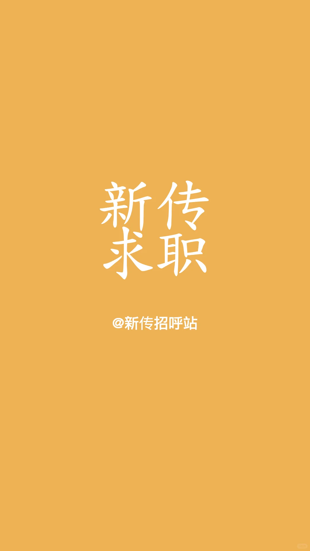 新传招呼站20240819