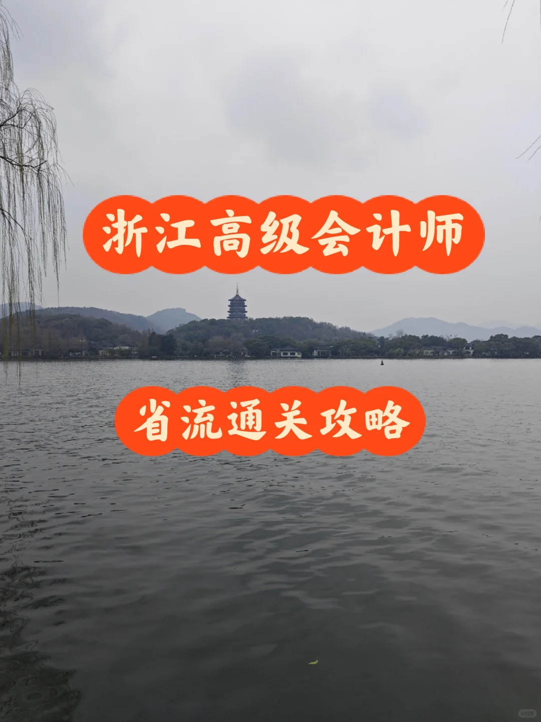 浙江高会省流攻略