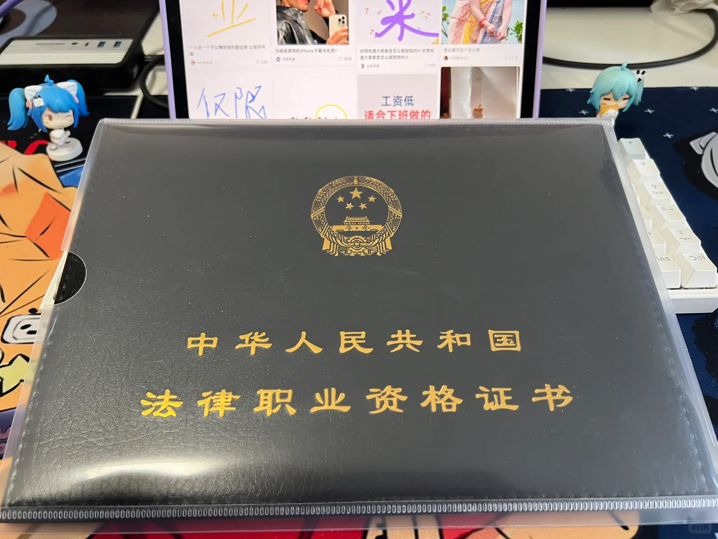 不能去法院做书记员（省聘也不行）