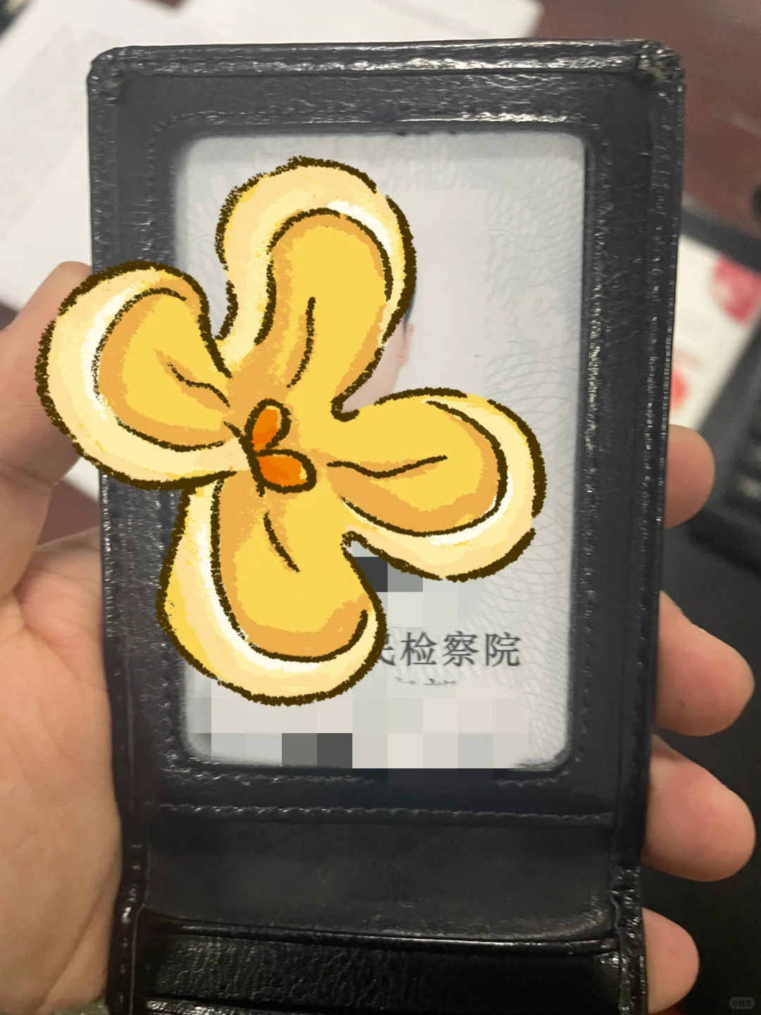 检察院省聘书记员