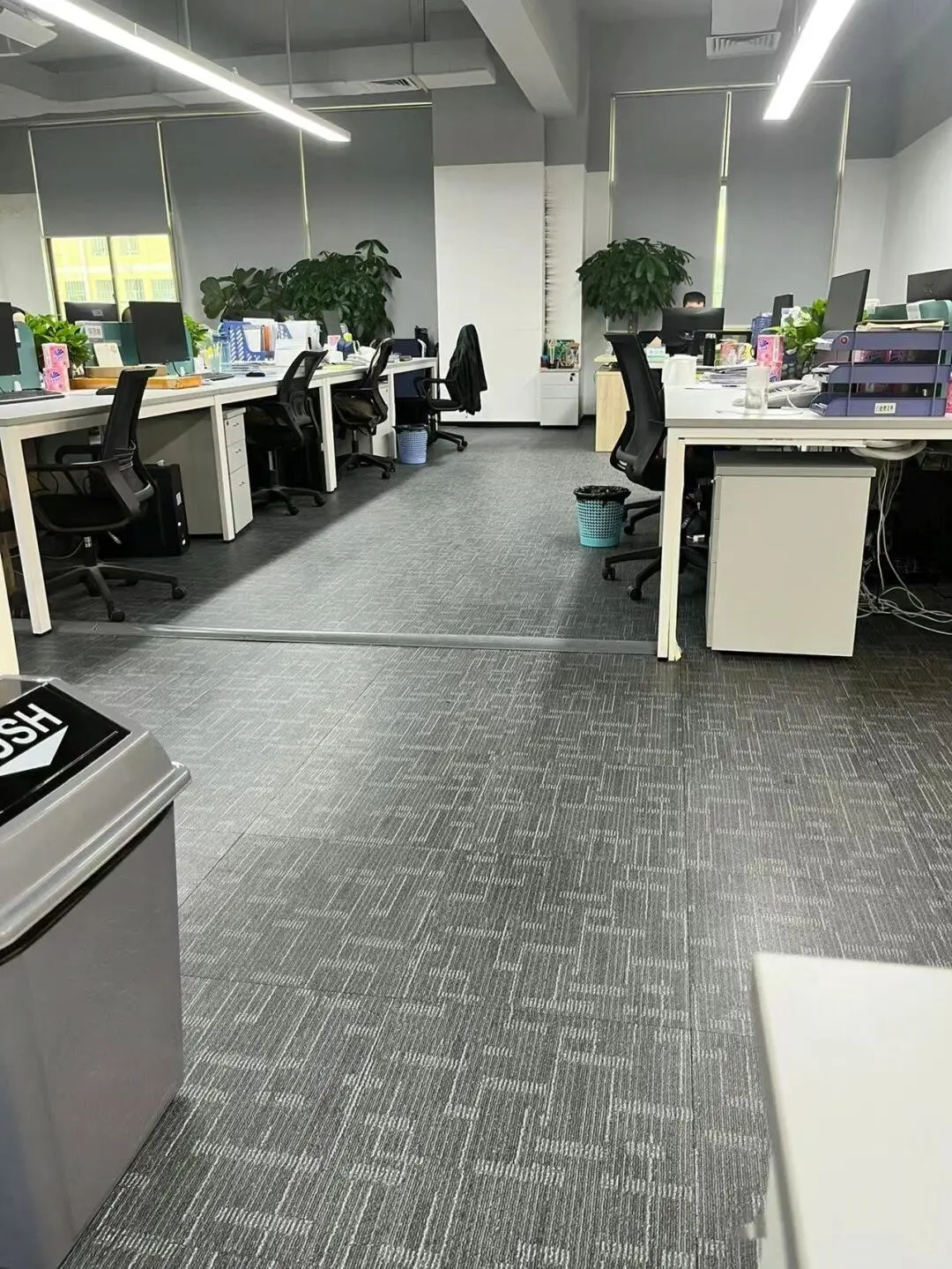 公司直聘文员